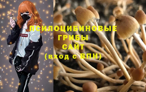 apvp Магадан