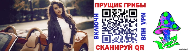 Псилоцибиновые грибы Psilocybine cubensis  Электроугли 